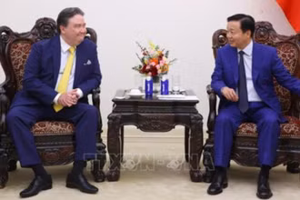 Phó Thủ tướng Trần Hồng Hà tiếp Đại sứ Hoa Kỳ tại Việt Nam Marc Knapper. (Ảnh: Văn Điệp/TTXVN)