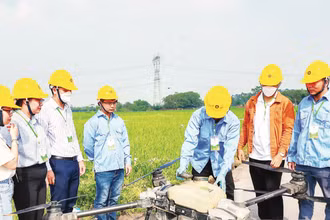 Vận hành thiết bị bay không người lái phun thuốc trừ sâu trên đồng lúa xã Thư Lâm, thành phố Hà Nội. (Ảnh ANH SƠN)