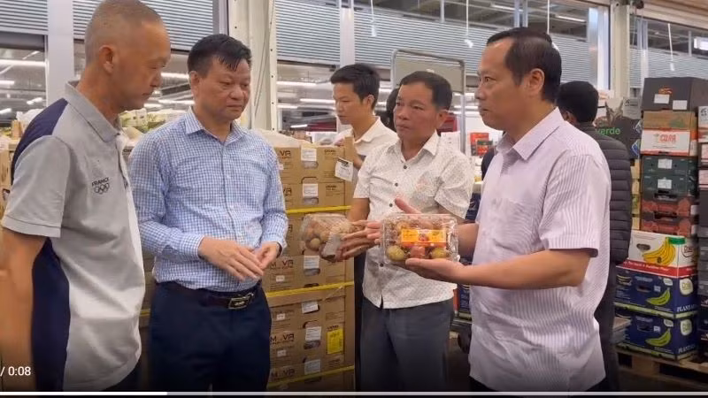 Kiểm tra chất lượng vải thiều sau khi đến nước Pháp.