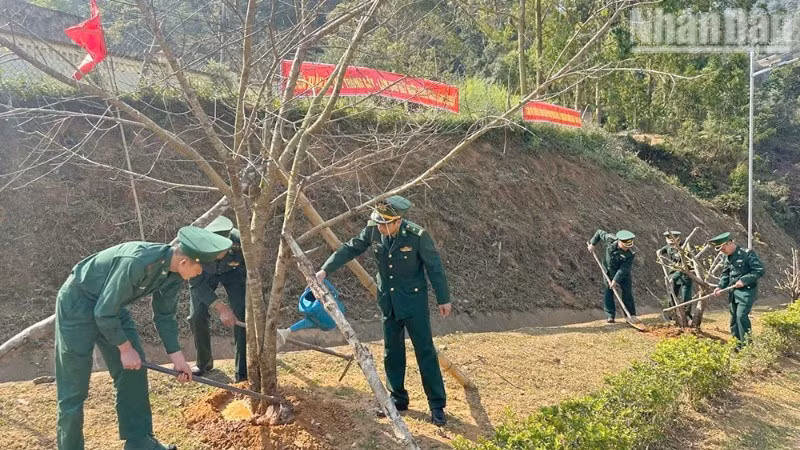 Cán bộ, chiến sĩ Đồn Biên phòng Phiêng Pằn trồng và chăm sóc cây.