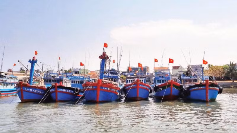 Tỉnh Quảng Ngãi tăng cường kiểm tra, kiểm soát các tàu cá ra vào cảng để chống đánh bắt IUU. (Ảnh: LƯU HƯƠNG)