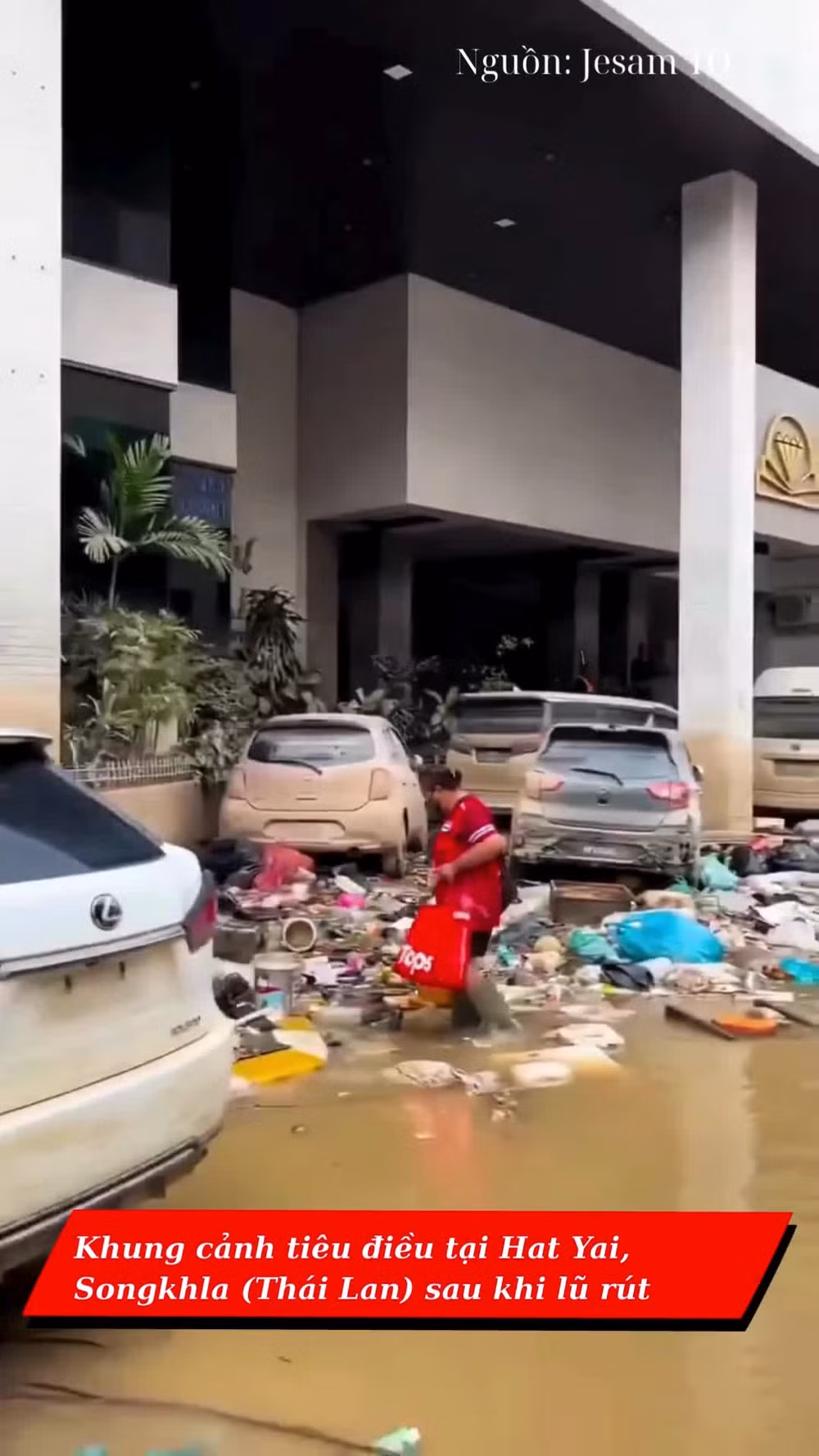 Khung cảnh tiêu điều tại Songkhla (Thái Lan) sau khi lũ rút