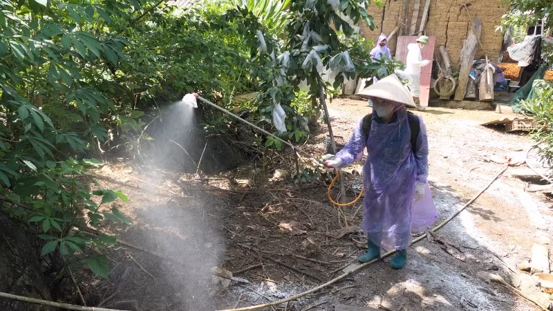 Tuyên Quang chỉ đạo các địa phương tăng cường phòng, chống bệnh dịch tả lợn châu Phi.