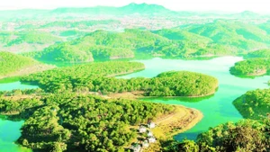 Thảm xanh Khu dự trữ sinh quyển thế giới Langbiang.