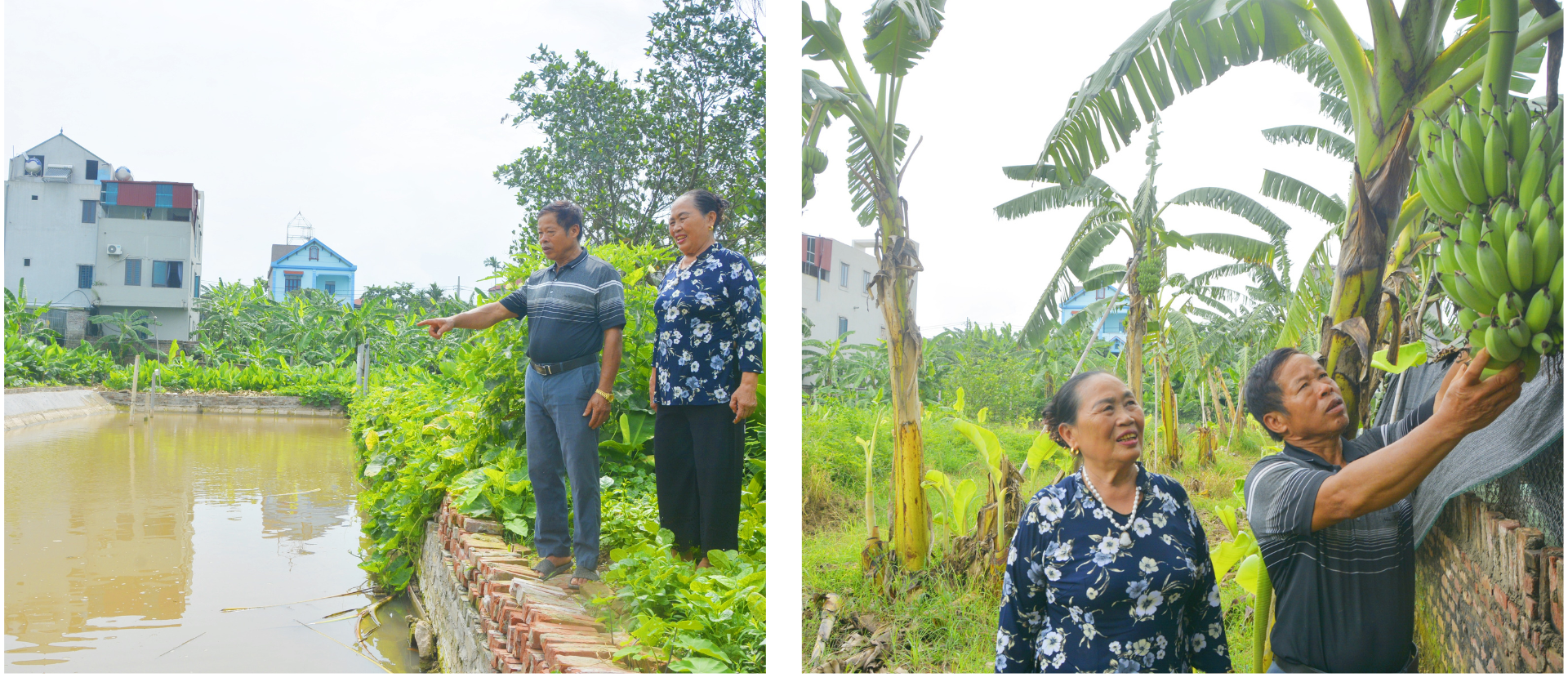 Ông Trần Quang Tín từ người lầm lỗi đã tái hòa nhập cộng đồng, nỗ lực phát triển kinh tế gia đình và trở thành thành viên tích cực của Câu lạc bộ phòng chống tội phạm và tệ nạn xã hội thôn Hữu Ái. tieu-de-o-day-5.png