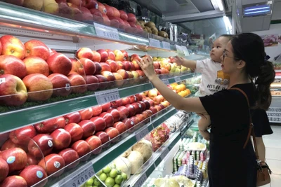 Thực phẩm có nguồn gốc xuất xứ rõ ràng, được bảo quản một cách khoa học sẽ là sự lựa chọn của những người tiêu dùng thông minh. Ảnh: Thế Đại