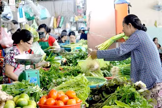 Thế rồi chúng tôi thấy cô bắt đầu dậy sớm mỗi ngày, đi bộ ra chợ cóc tít đầu đường mua rau, mưa hay nắng cũng thế...