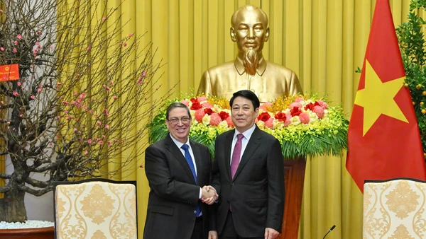 Chủ tịch nước Lương Cường tiếp đặc phái viên Đảng, Nhà nước Cuba Bruno Rodriguez Parrilla (Ảnh: Thủy Nguyên)