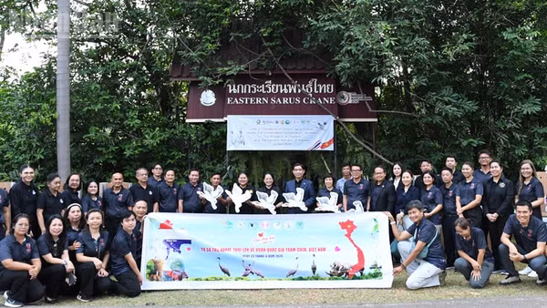 Lễ bàn giao 6 cá thể sếu đầu đỏ tại Vườn thú Nakhon Ratchasima. (Ảnh: XUÂN SƠN)