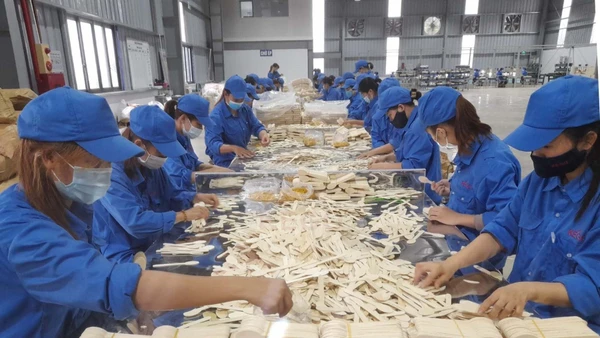Quá trình chuyển đổi số-xanh gây áp lực lớn cho doanh nghiệp, đặc biệt là về chi phí. 