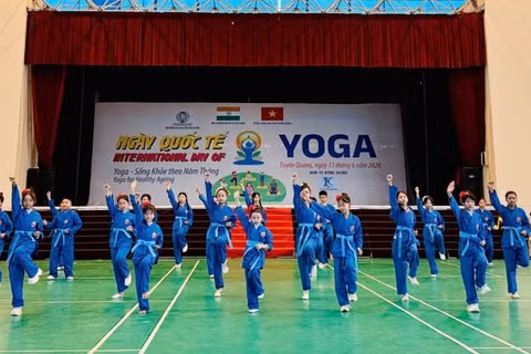 Đồng diễn võ nhạc Vovinam, một trong những hoạt động đáng chú ý tại Festival. 