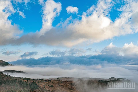 Khung cảnh đầy mê hoặc của biển mây Y Tý những ngày này.