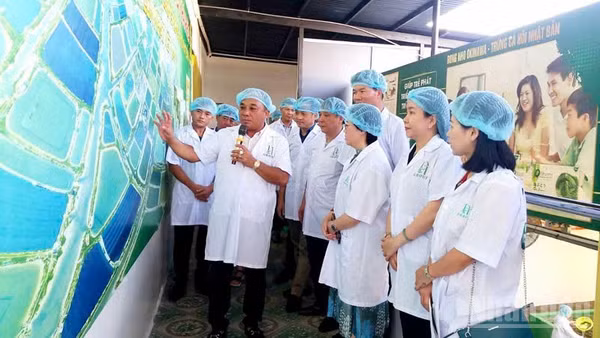 Ông Nguyễn Quang Duy, Phó Chủ tịch Thường trực Hội Doanh nhân trẻ Khánh Hòa, giới thiệu tiềm năng của địa phương với đối tác, khách hàng. (Ảnh: DTGROUP)