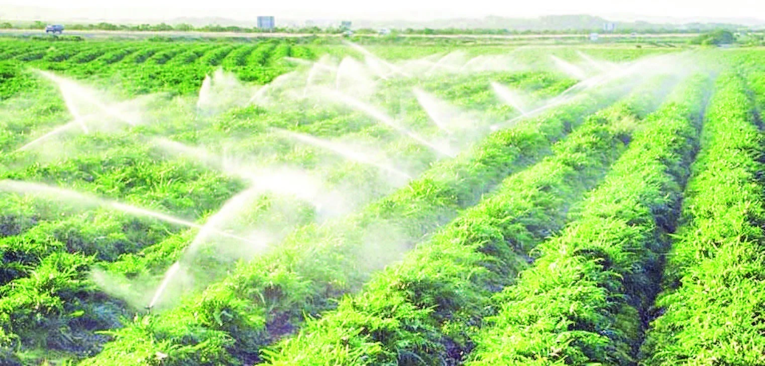 Gia Lai Thúc Đẩy Tưới Tiết Kiệm Nước: Giải Pháp Sống Còn Trước Biến Đổi Khí Hậu
