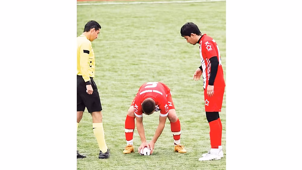 Gani Catan tập trung cao độ vào việc cứu sống chú mòng biển.