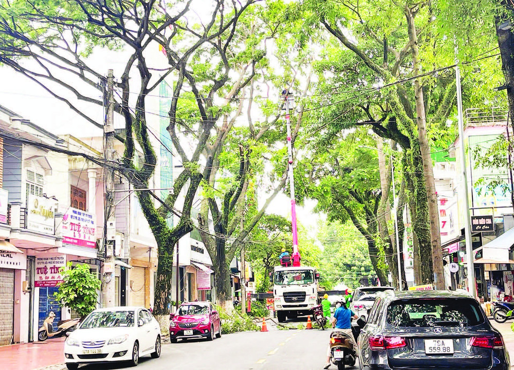 Công nhân Công ty cổ phần Đô thị và Môi trường Đắk Lắk tổ chức cắt tỉa tán cây xanh trên đường Lý Thường Kiệt, thành phố Buôn Ma Thuột bảo đảm an toàn trong mùa mưa năm 2025.