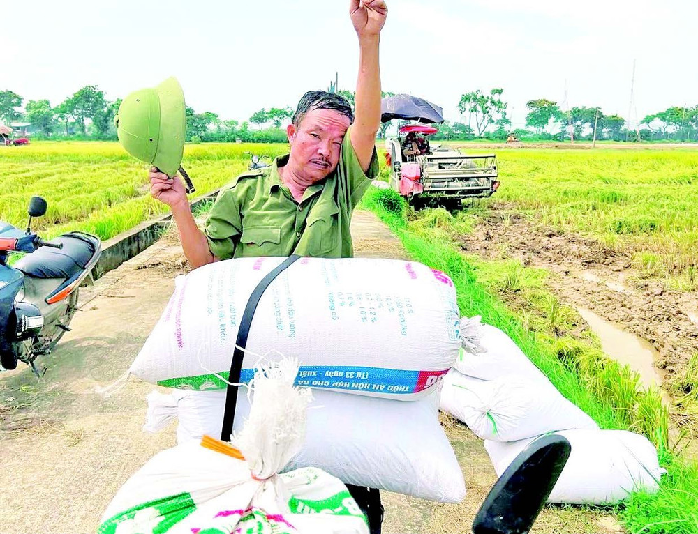Mồ hôi người nông dân. 3.jpg