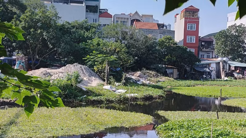 Ao Hoàng Giáp trong ngõ 99 Định Công Hạ (phường Định Công, Hà Nội) bị lấn chiếm, dựng nhà tạm và tập kết vật liệu xây dựng. (Ảnh VĂN HỌC)