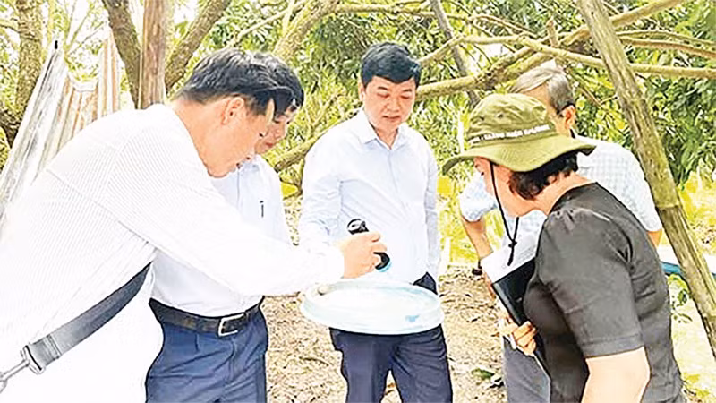 Cán bộ ngành y tế Cần Thơ kiểm tra công tác phòng, chống bệnh sốt xuất huyết.