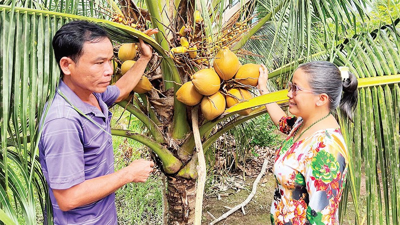 Gia đình bà Nguyễn Thị Ngọc Huệ được hỗ trợ vay vốn để phát triển kinh tế, vươn lên thoát nghèo.