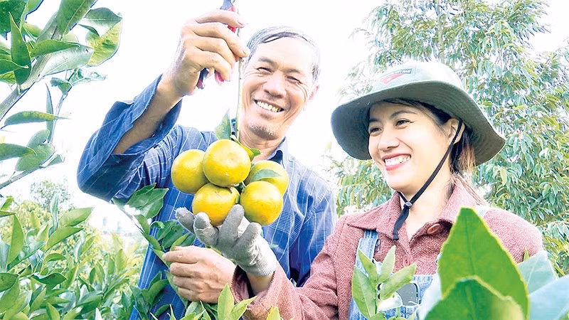 Nhiều mô hình trồng cây ăn quả đã tạo được chỗ đứng vững chắc trên thị trường, mang lại hiệu quả kinh tế cao.