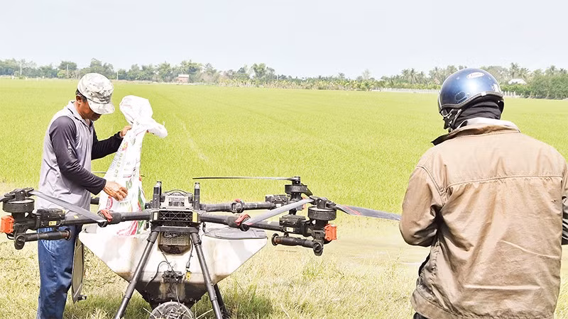Nông dân xã Mỹ Thành, tỉnh Đồng Tháp sử dụng máy bay không người lái, để chăm sóc đồng ruộng.
