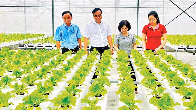 Khu Nông nghiệp công nghệ cao Thành phố Hồ Chí Minh góp phần hỗ trợ bà con nhiều giống cây trồng và công nghệ mới phục vụ cho nông nghiệp đô thị.