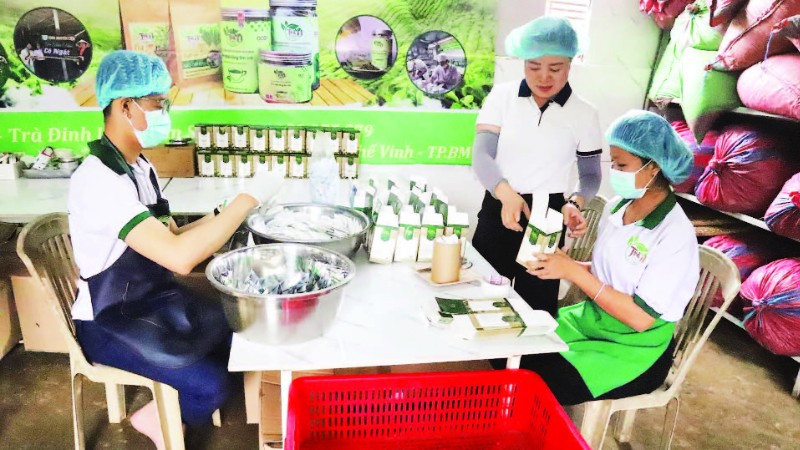 Bà Hoàng Thị Ngát (người đứng giữa) Giám đốc Hợp tác xã Trà thảo mộc Cô Ngát Natural hướng dẫn các nhân viên là người khuyết tật kỹ thuật đóng gói hộp trà.