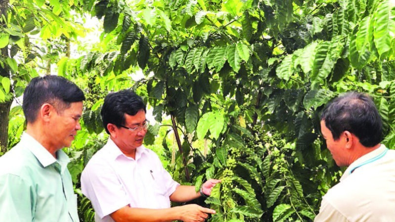 Lãnh đạo xã Phú Vinh (tỉnh Đồng Nai) sâu sát gắn bó với nông dân, tích cực đưa nghị quyết vào sản xuất nông nghiệp, xây dựng nông thôn mới.