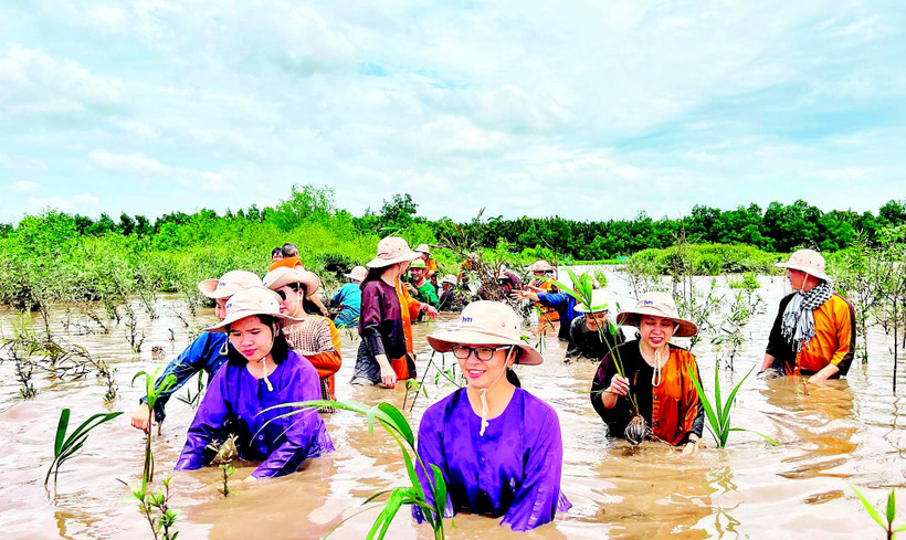 Người dân đầu tư, phát triển du lịch sinh thái bên cù lao Lá (ấp Tân Quý, xã Mỹ Chánh Hòa, tỉnh Vĩnh Long).