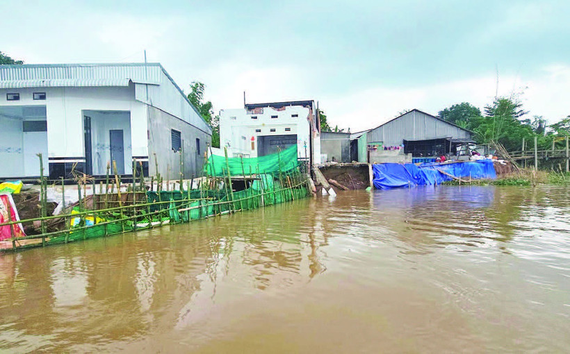 Sạt lở nhấn chìm nhiều nhà dân xuống sông Hậu.