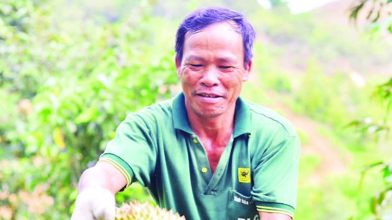 Người dân Lâm Đồng phấn khởi vào vụ thu hoạch sầu riêng.