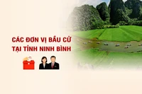 [Infographic] Các đơn vị bầu cử đại biểu Quốc hội tại tỉnh Ninh Bình