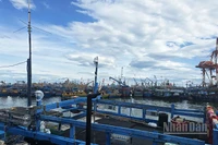 Gia Lai yêu cầu các lực lượng chức năng khẩn trương phối hợp triển khai công tác tìm kiếm, cứu nạn tàu cá BĐ 97258 TS.