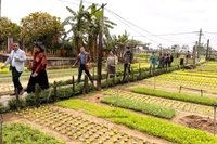 Đoàn khảo sát Làng rau Trà Quế - Làng du lịch tốt nhất thế giới năm 2024 do Tổ chức Du lịch Liên hợp quốc (UN Tourism) bình chọn.