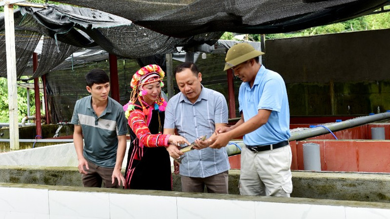 ການນຳບ້ານປ່າອູລົງກວດກາຮູບແບບລ້ຽງປານ້ຳເຢັນຢູ່ເຂດ. p-2-3574.jpg
