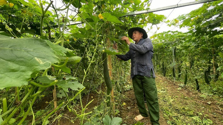 Các mô hình sinh kế giúp đồng bào dân tộc thiểu số ở Nậm Nhùn vươn lên thoát nghèo. z6681593646058-788ed8b93d9325eab87606ab9d8115b1-7208.jpg