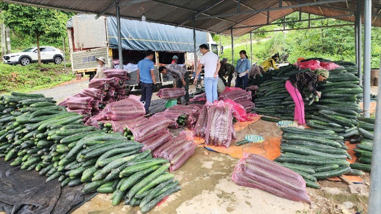 Việc đa dạng hóa các mô hình sinh kế giúp dân góp phần từng bước đưa vùng khó đi lên. z6687258112133-55b2657085cbab3dd0c4fea76aa799d8-1836.jpg