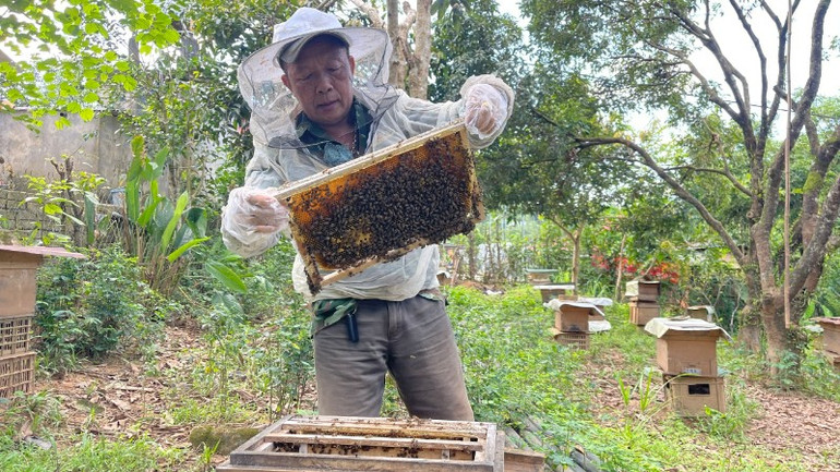 Ông Tao Văn Kẻo ở bản Pậu xã Nậm Tăm vươn lên từ mô hình nuôi ong và trồng cây ăn quả. z7072092075171-46886cde83ec3433f984a19bedfbecc0-8862.jpg