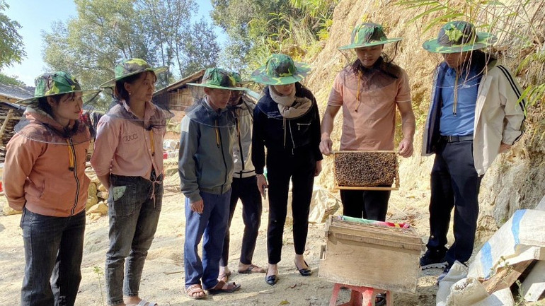 Tham gia mô hình nuôi ong giúp thanh niên dân tộc thiểu số cải thiện thu nhập, ổn định cuộc sống. z5196665696315-7e6e7476b2ef2fb0dc5af222ed71324c-1711333857181-7451.jpg
