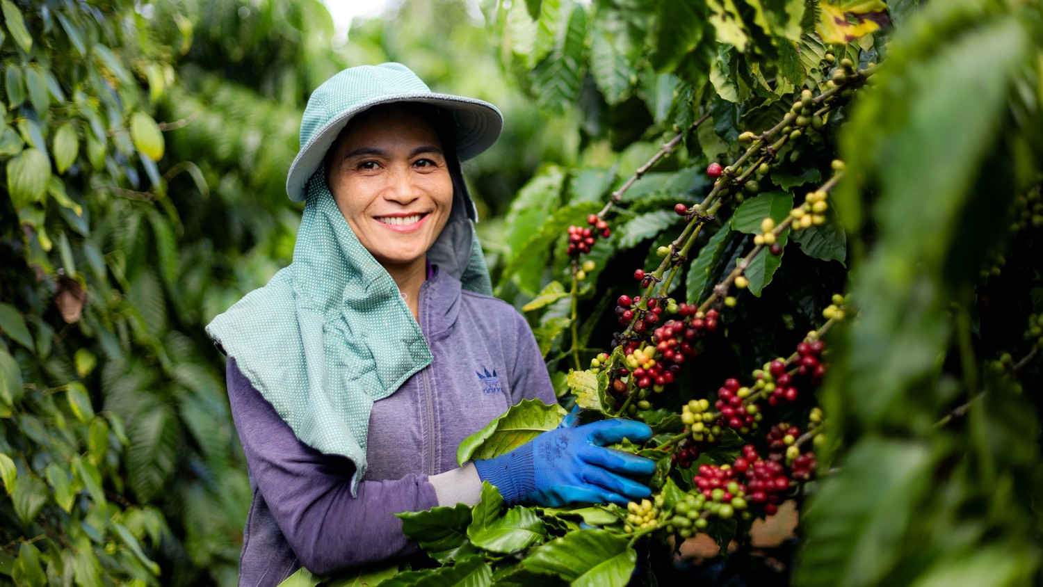 Kinh tế tuần hoàn là động lực chuyển đổi xanh 