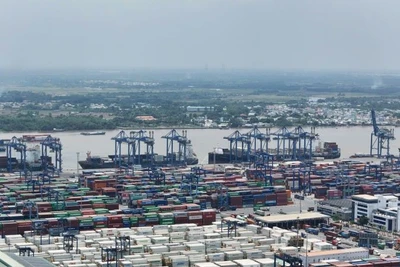 Hệ thống kho bãi Cảng Cát Lái, Thành phố Hồ Chí Minh được đầu tư đồng bộ đáp ứng cho nhu cầu hoạt động logistics. (Ảnh THẾ ANH)