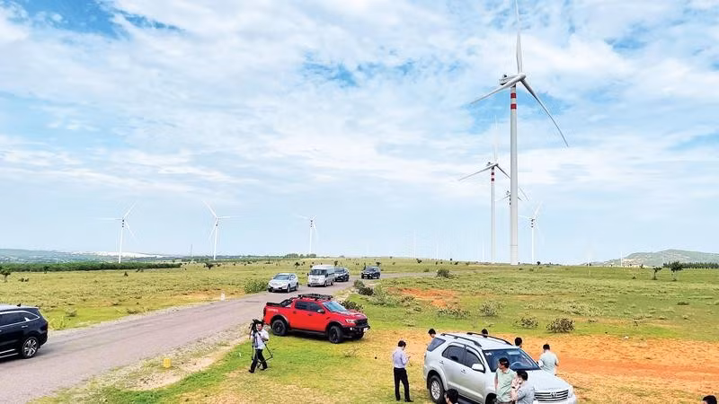 Cánh đồng điện gió trở thành địa điểm thu hút nhiều du khách đến chụp hình.