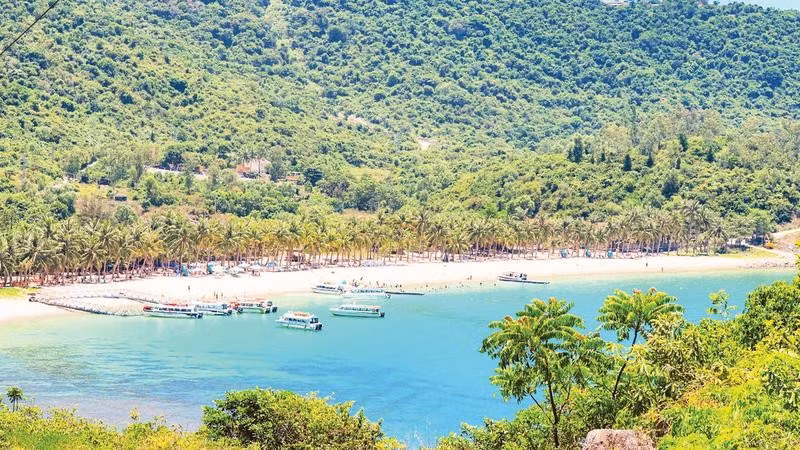 Các tàu du lịch phục vụ tour trong ngày tại Bãi Ông - Cù Lao Chàm.