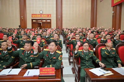 Các đại biểu biểu quyết.