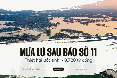 [Infographic] Mưa lũ sau bão số 11 gây thiệt hại hơn 8.720 tỷ đồng