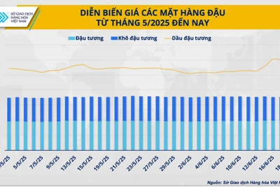 Giá dầu đậu tương: Sau ‘đỉnh cao’ sẽ là gì?