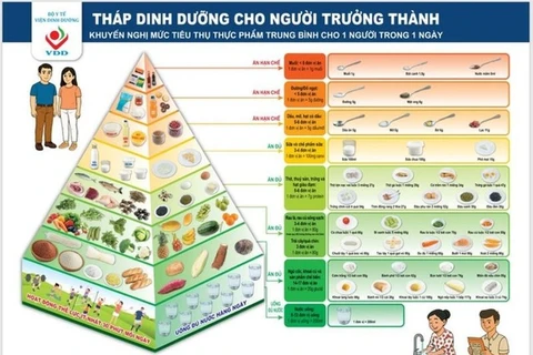 Tháp dinh dưỡng cho người trưởng thành do Viện Dinh dưỡng (Bộ Y tế) khuyến nghị. (Ảnh: Viện Dinh dưỡng)