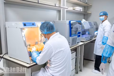 Trung tâm giám định ADN thuộc Viện Hàn lâm khoa học và công nghệ Việt Nam áp dụng công nghệ NGS-SNP dựa trên nền tảng giải trình tự gene thế hệ mới (NGS) phục vụ công tác xác định danh tính hài cốt liệt sĩ. (Ảnh: MINH DUY)