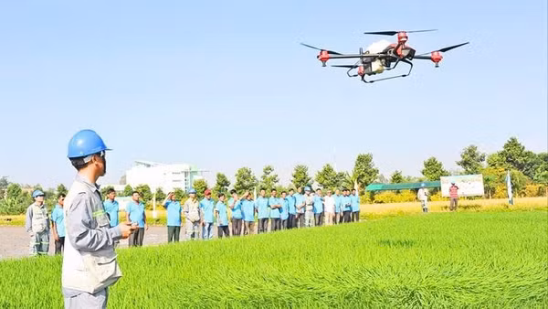 Chuyển đổi xanh toàn diện và hiệu quả, cần có ứng dụng công nghệ số để hỗ trợ.